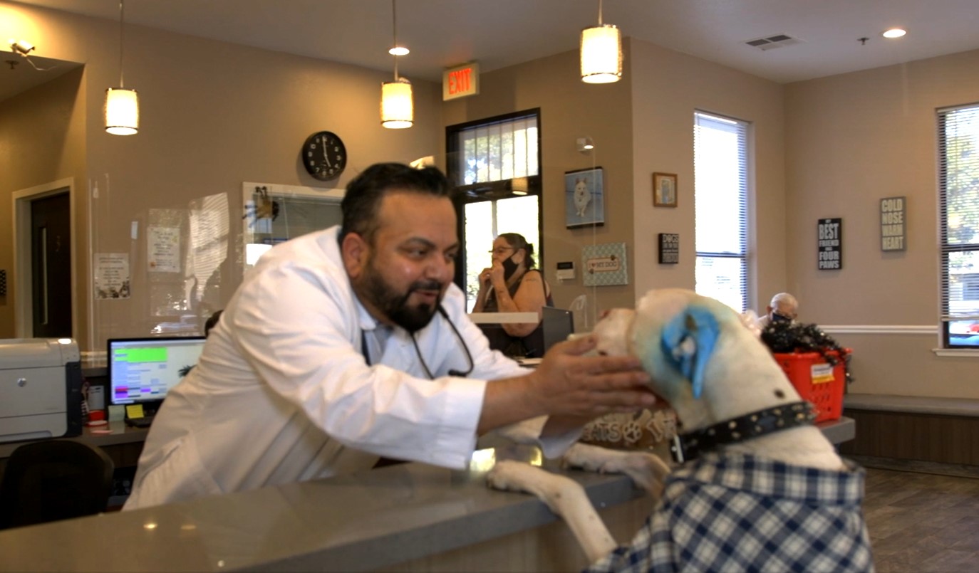 Dr. Raj Dhanota with a patient - Central Valley Veterinary Hospital